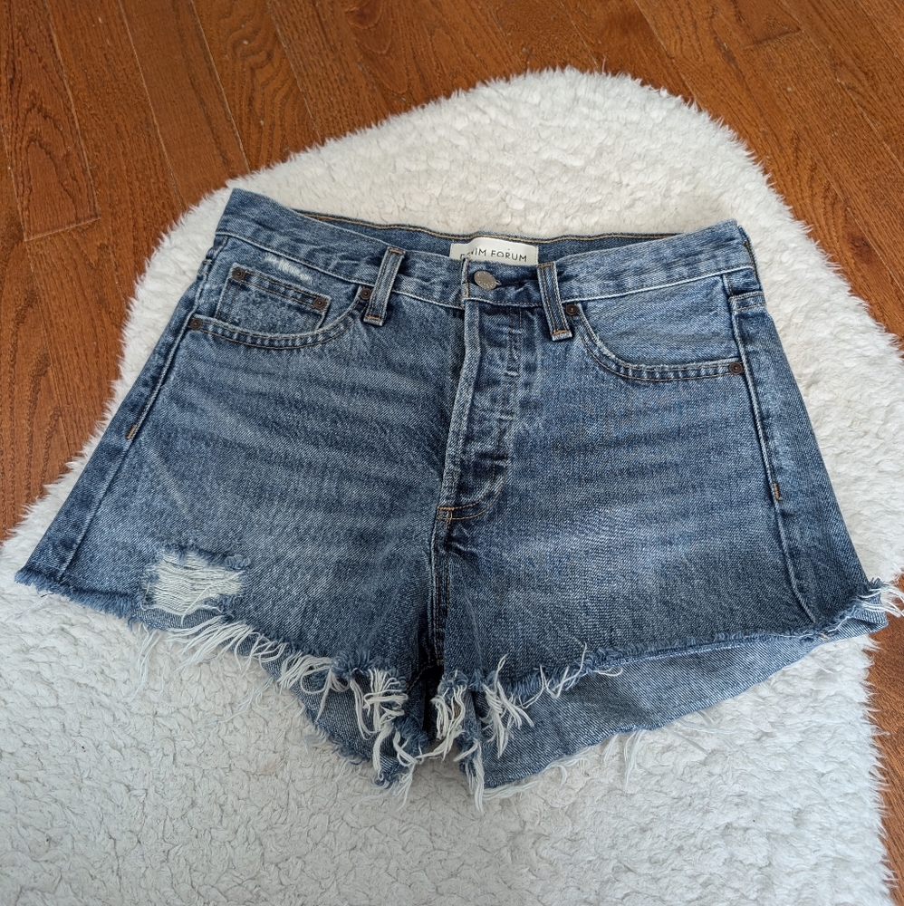 Aritzia Denim Forum The Ex Boyfriend Short 25